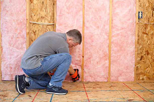Types of Insulation We Offer in Hasley Canyon, CA