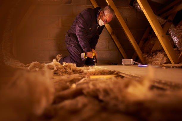 Best Insulation for Specific Applications in Hasley Nyon, CA